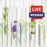 aromatherapy seminars