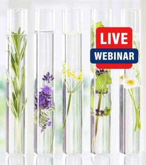 aromatherapy seminars